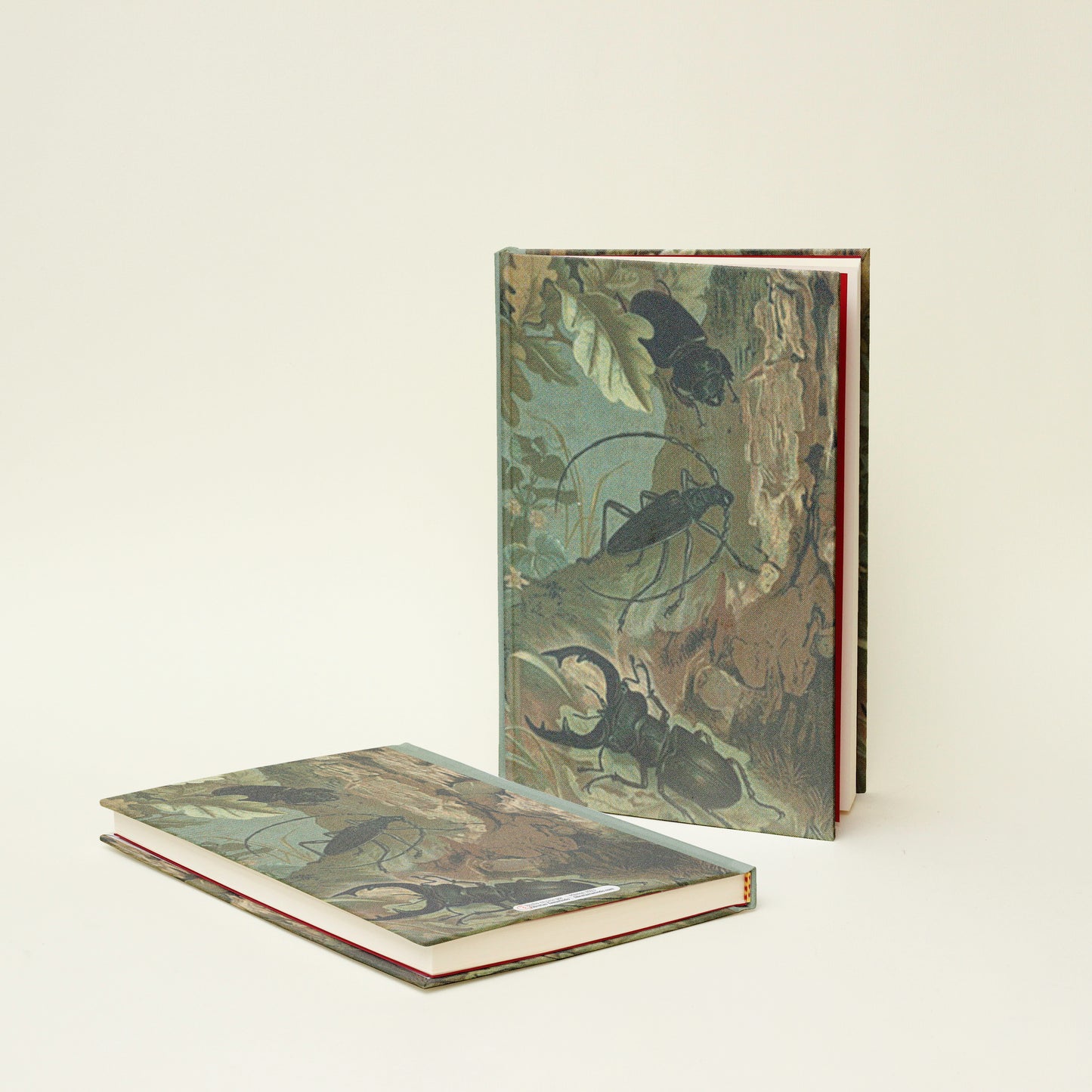 Libreta "Escarabajos"