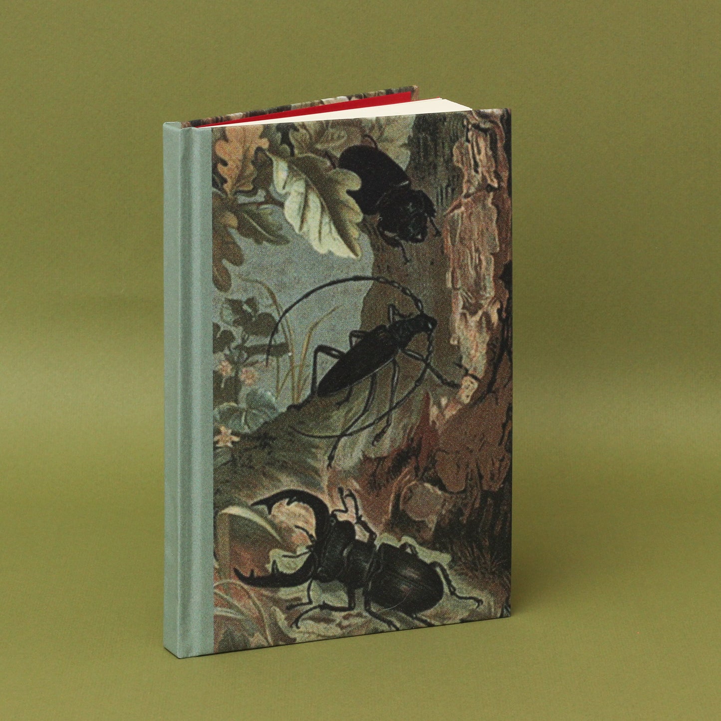 Libreta "Escarabajos"
