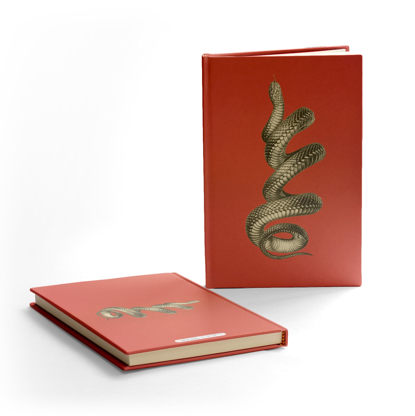 Libreta "Black Snake"