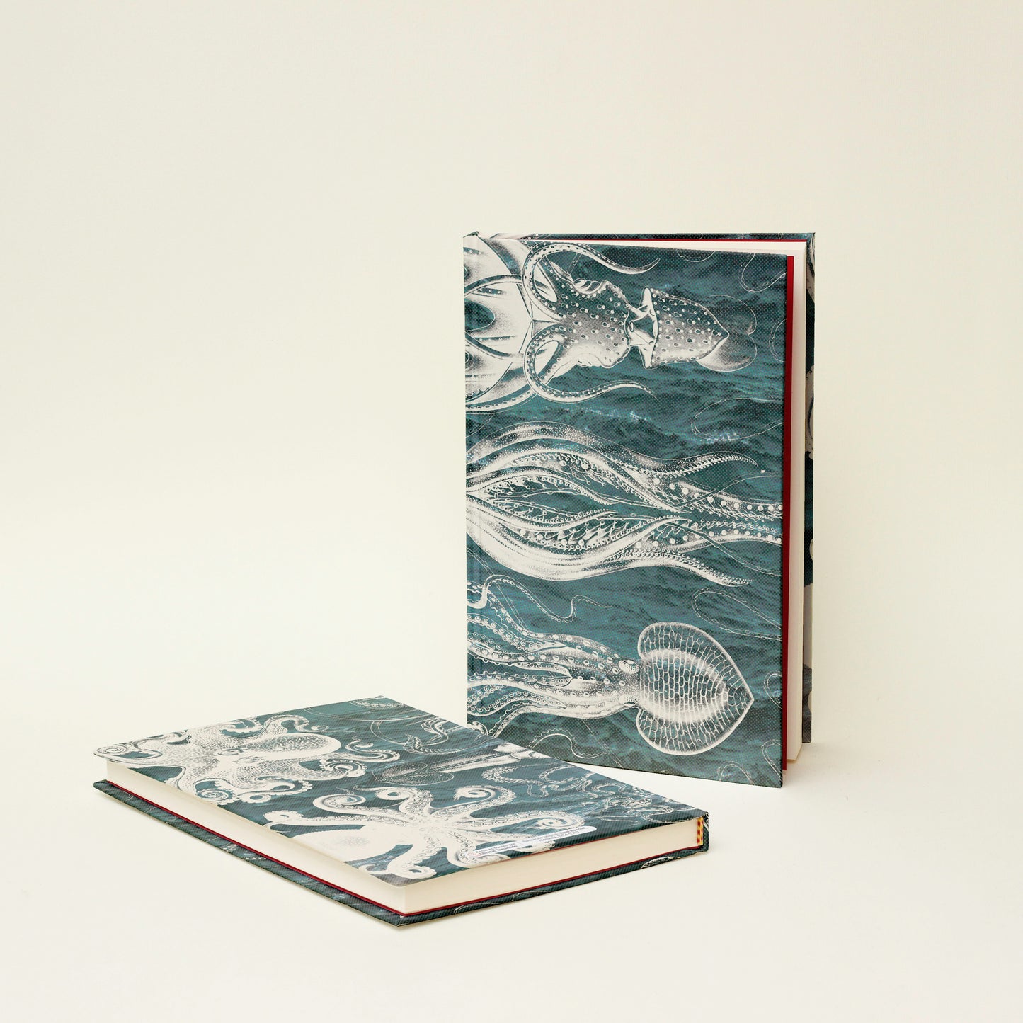 Libreta "Cefalópodos"