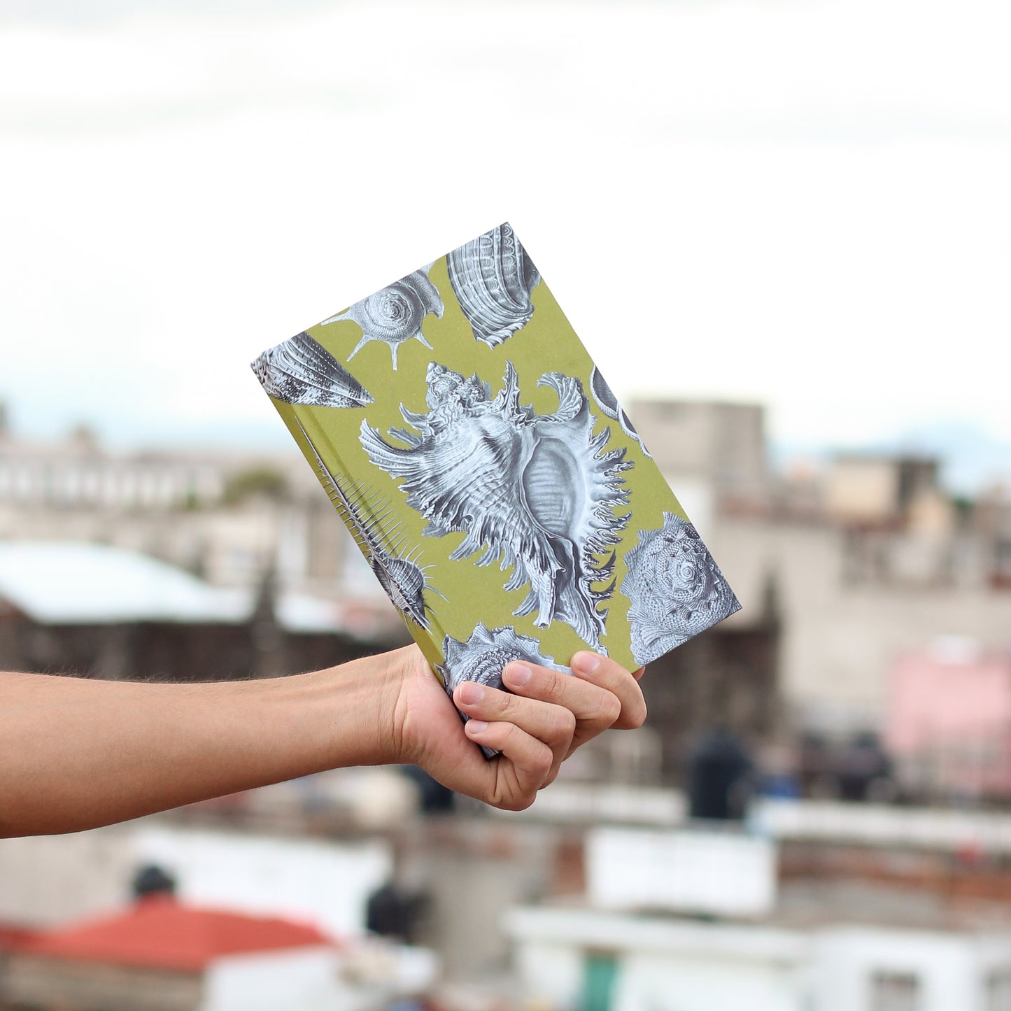 Libreta "Prosobranchia"