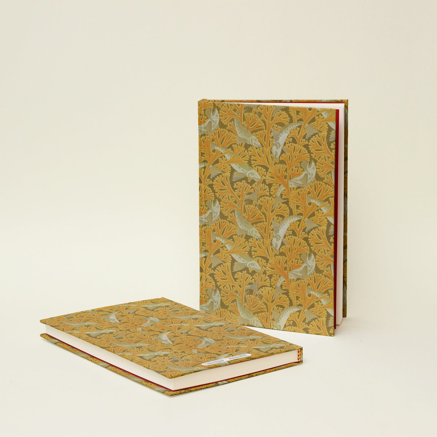 Libreta "Peces y algas"