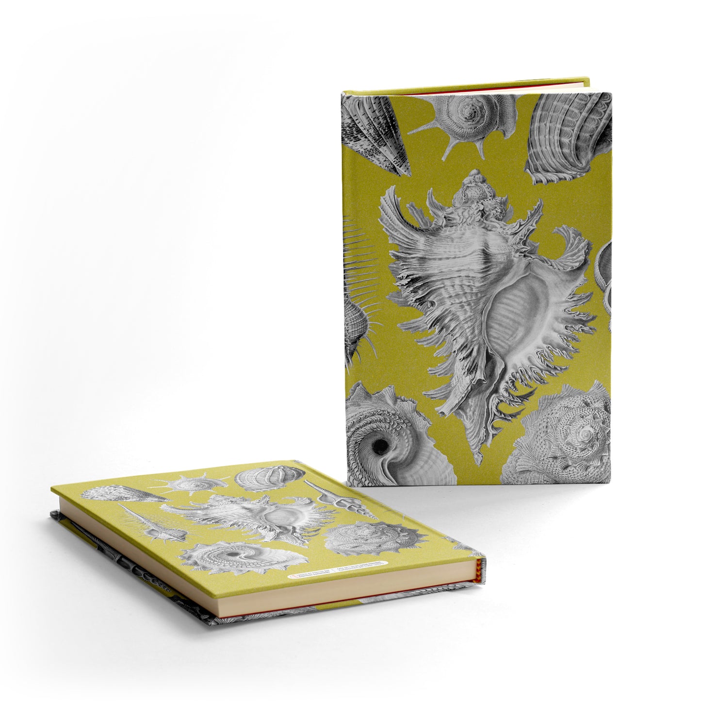 Libreta "Prosobranchia"