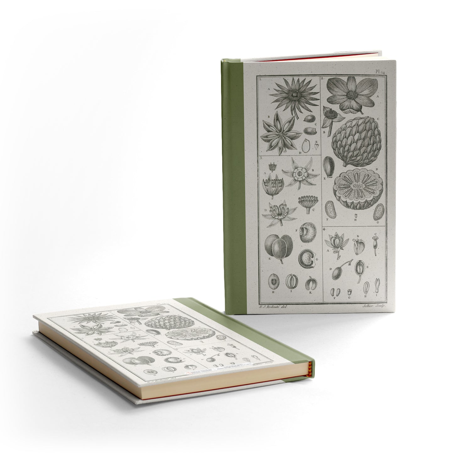 Libreta "Semillas Redouté"
