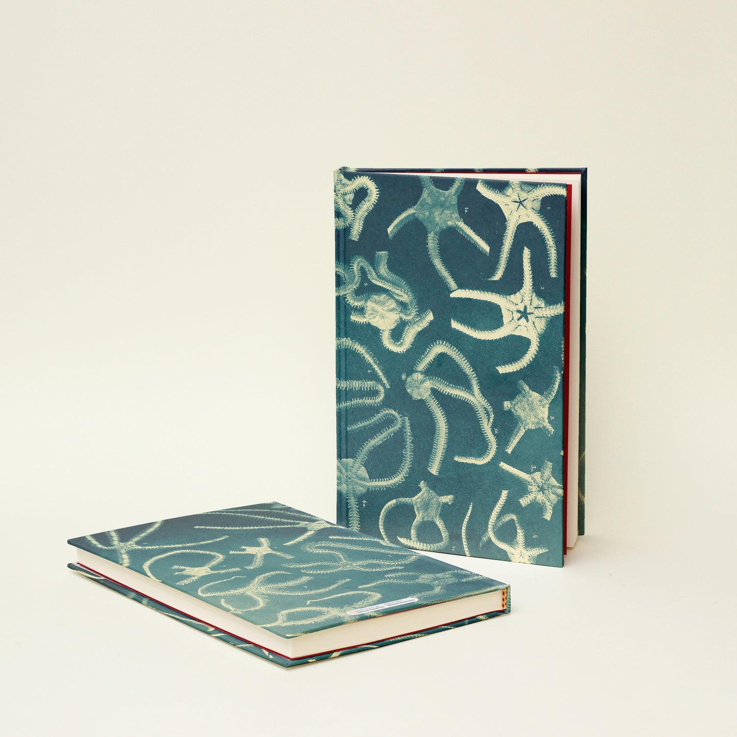 Libreta "Estrellas Marinas"